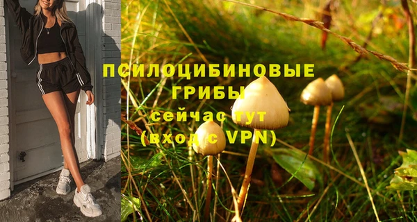 кокаин колумбия Алексин