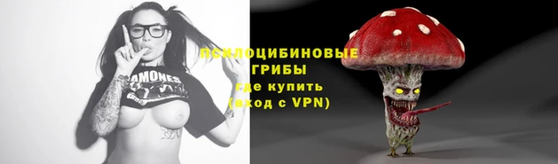 мдпв Абинск