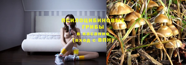 гидропоника Абдулино